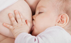 © - fotolia.com 21340343