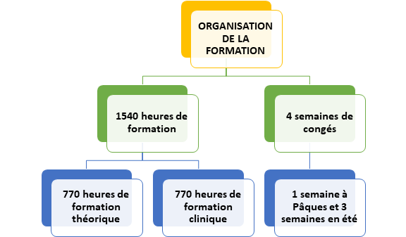 Orga formation