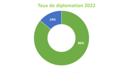 Taux diplomation